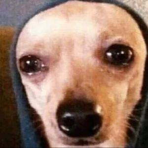 Meet your Posher, Dulce